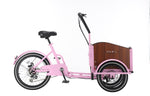 Chanty Cargo Teen - Pink