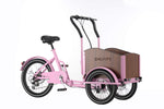 Chanty Cargo Teen - Pink