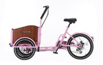 Chanty Cargo Teen - Pink