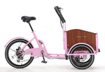 Chanty Cargo Teen - Pink