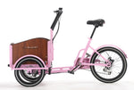 Chanty Cargo Teen - Pink