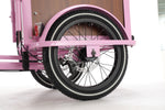 Chanty Cargo Teen - Pink