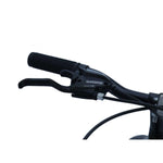 CHANTY Roader 24" Sort & Grøn Drengecykel | 7 Gear | - BørnecyklerneChantyBørnecyklerne24 - 014/1CHANTY Roader 24" Sort & Grøn Drengecykel | 7 Gear |